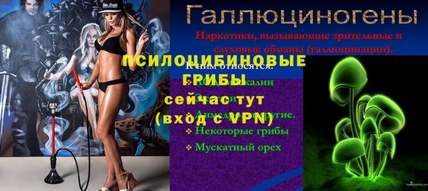 молекула духа Армянск